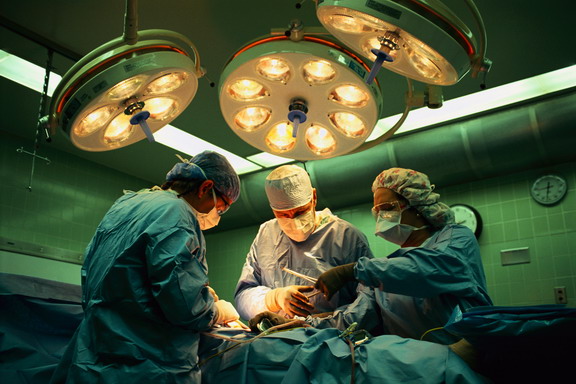 трансплантация  в Германии