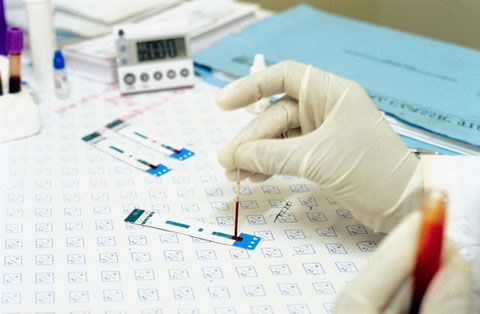 Анализ крови на ХГЧ (анализ крови на беременность): расшифровка, норма