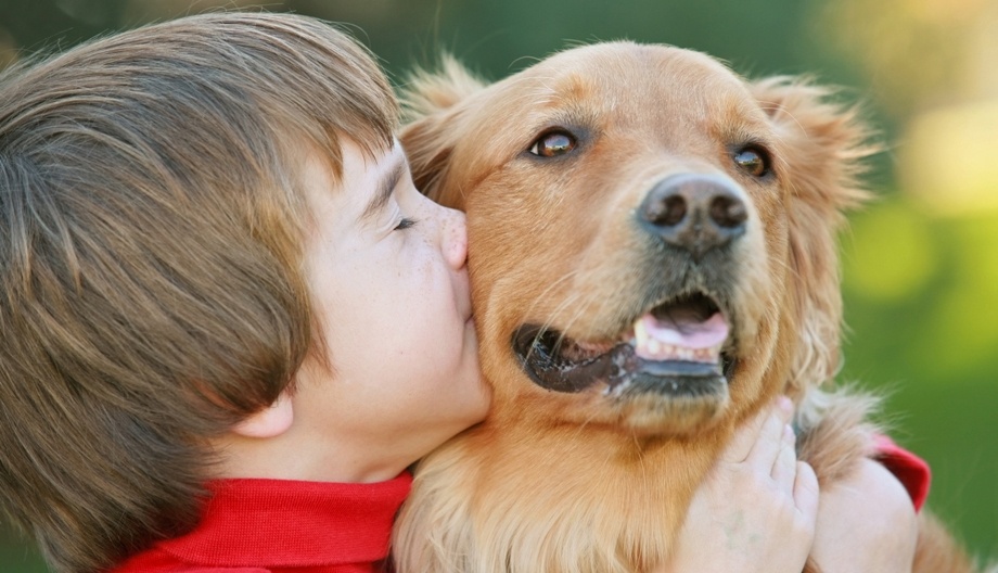 Дети и домашние животные: соблюдаем правила безопасности