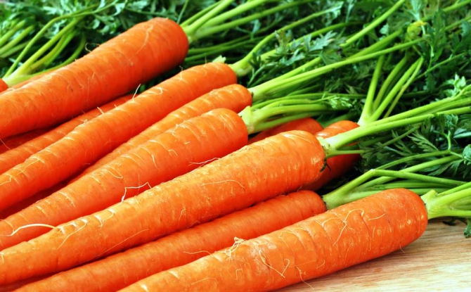 Маска из моркови для лица: сок моркови для вашей красоты!