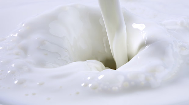 6 вопросов о пробиотиках в молоке