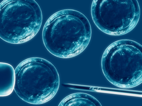 Криоконсервация эмбрионов