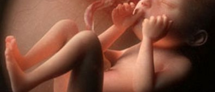 Программа ведения беременности: эмбриональный МРТ