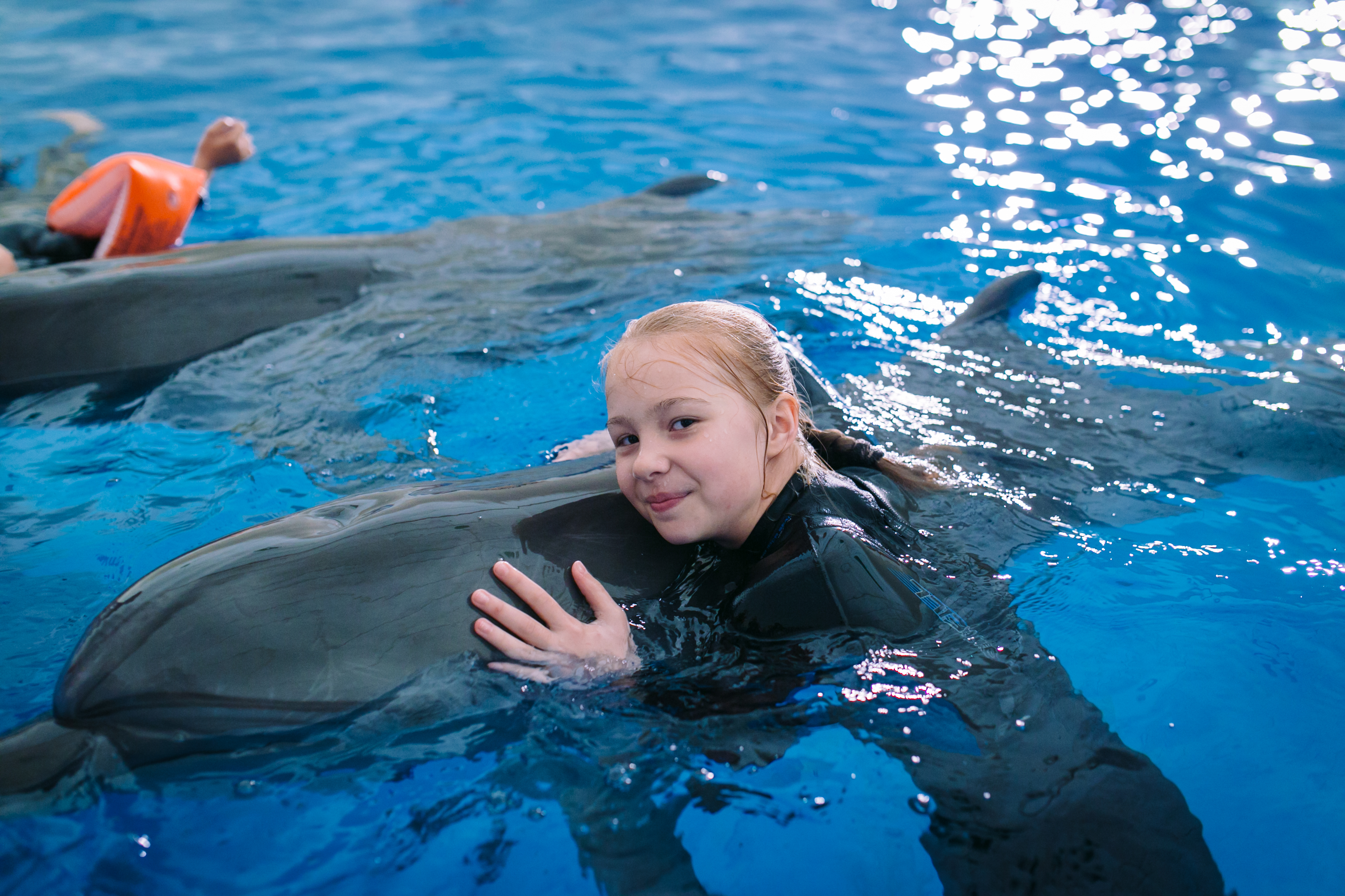 Разумное животное: что дельфины знают о нас?