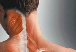 Спазм мышц шеи