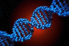 Видео: Строение молекулы ДНК