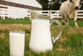 Как выбрать молоко? Какое полезно, а какое нет?