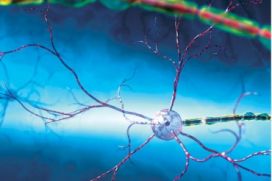 Микрополяризация — новая панацея при заболеваниях центральной нервной системы?