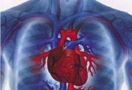 Диспансерное наблюдение больных с ишемической болезнью сердца