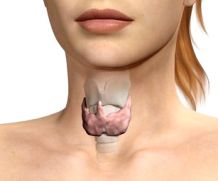 Узловой зоб: щитовидка под угрозой