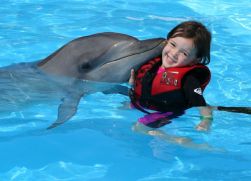 Дельфинотерапия. Лечение дельфинотерапией