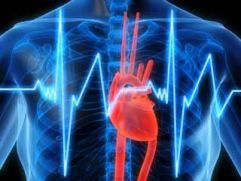 Диагностика аритмии сердца