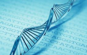 HLA: всех ли спасет генетический тест?