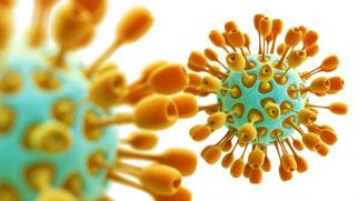 Новый опасный коронавирус «MERS-CoV»: Вопросы и Ответы