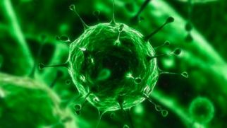 Животный вирус назвали вероятной причиной появления рака у людей