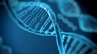 К 2017 году могут пройти первые тесты системы редактирования ДНК
