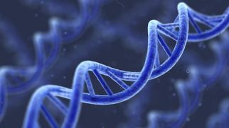 В человеческой ДНК обнаружены новые вирусы