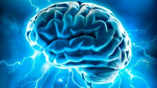 6 наиболее распространенных мифов о человеческом мозге