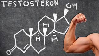 Как повысить тестостерон: 5 хитростей