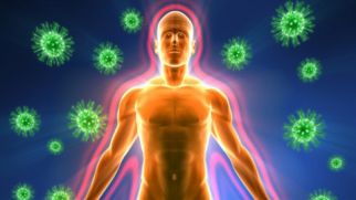 Причины, симптомы и способы поднятия сниженного иммунитета