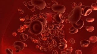 Что такое гемолиз крови