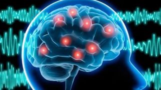 ЭЭГ головного мозга: что показывает?